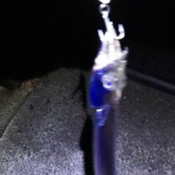 ジグで太刀魚狙い